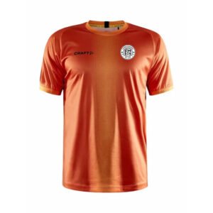 Craft-Progress-Graphic_orange