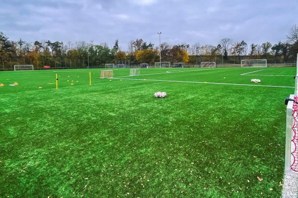 Einzeltraining Einzeltraining
